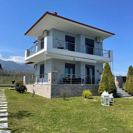Plaka Luxury Villa Litókhoron Eksteriør bilde
